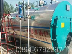 10万大卡生物质导油炉