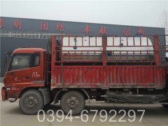 dzl热水锅炉