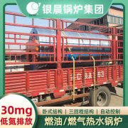 WNS12-1.25-QY冷凝蒸汽锅炉米兰电竞-点燃电子竞技激情,成就电竞梦想
