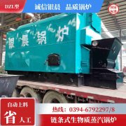 WNS20-1.25-QY环保蒸汽锅炉太康银晨锅炉