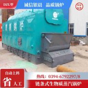 WNS0.7-1.0-QY液化气蒸汽锅炉米兰电竞-点燃电子竞技激情,成就电竞梦想
