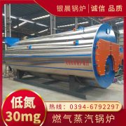 0.3吨低氮蒸汽锅炉米兰电竞-点燃电子竞技激情,成就电竞梦想
