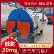 新天然气锅炉