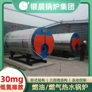 大型的燃气锅炉