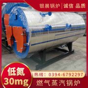 立式生物质蒸汽锅炉