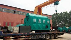 中国8吨锅炉