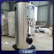 燃气蒸汽锅炉生产厂家WNS2食品企业配套