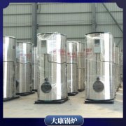 智能蒸汽锅炉WNS4出口三十余个国家